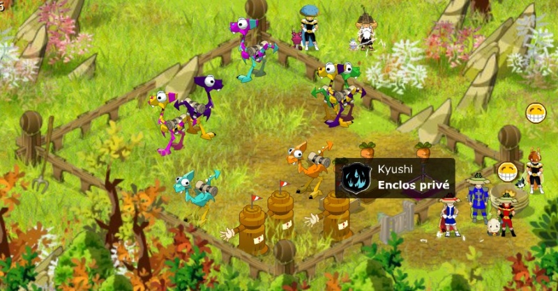 Fichier:Enclos de guilde.jpg